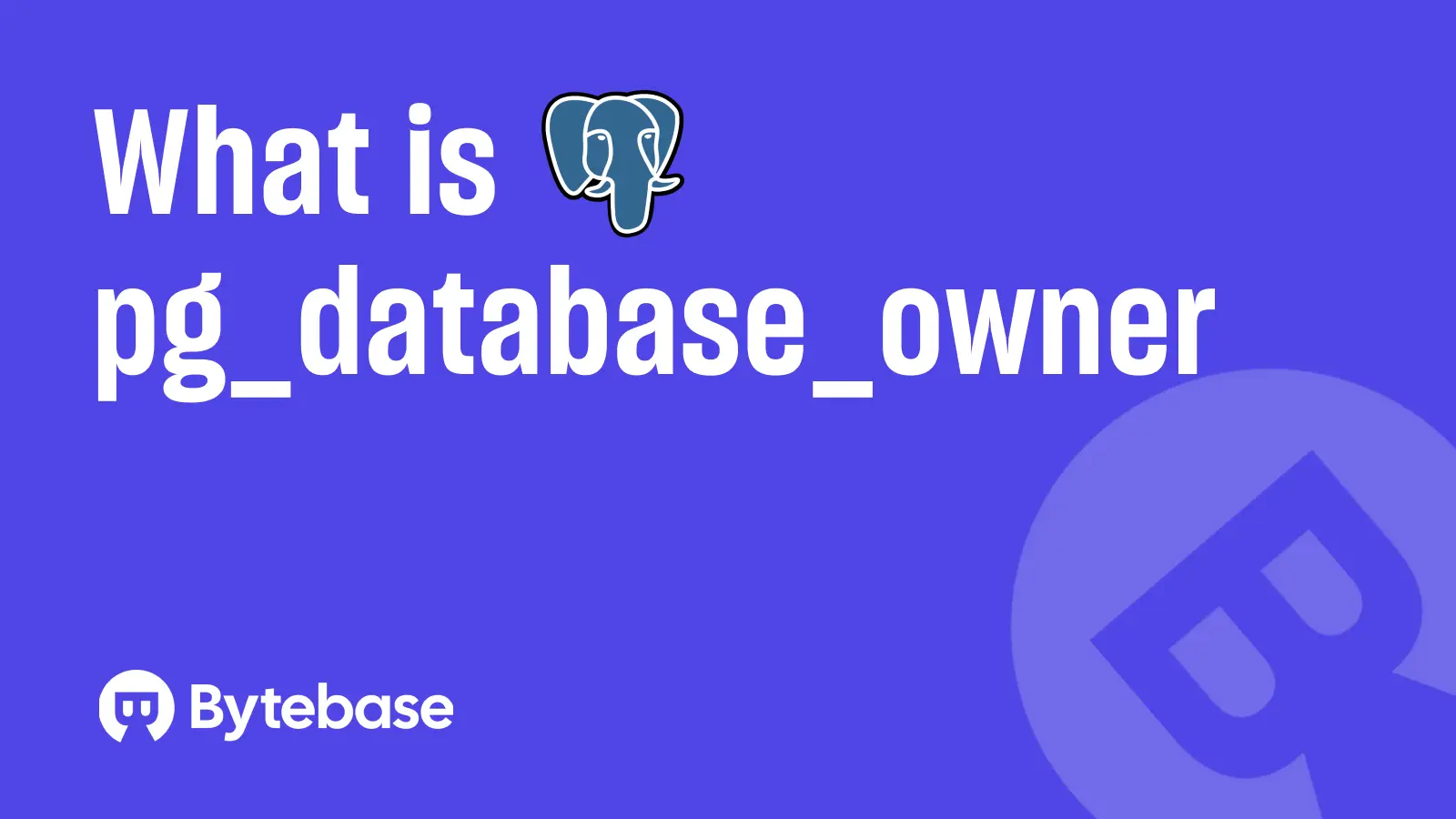 What is pg_database_owner in Postgres